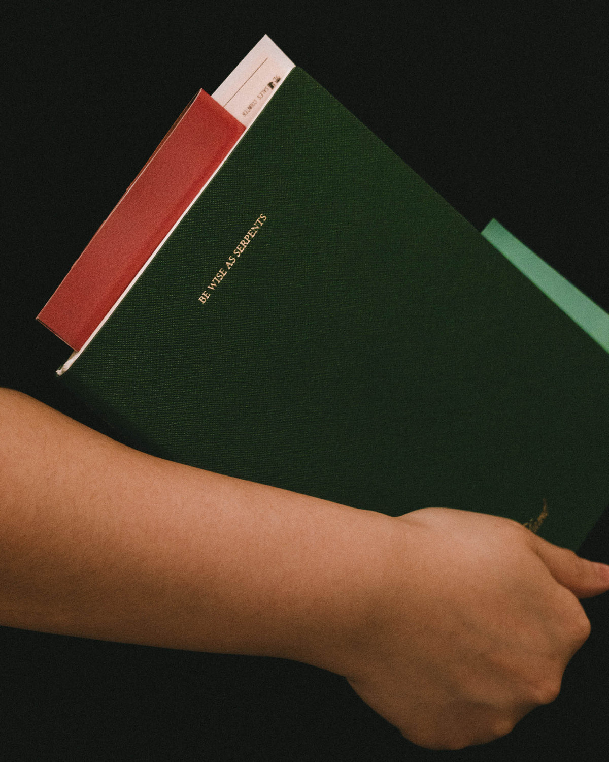 Be wise as serpents, Basic Series Notebook