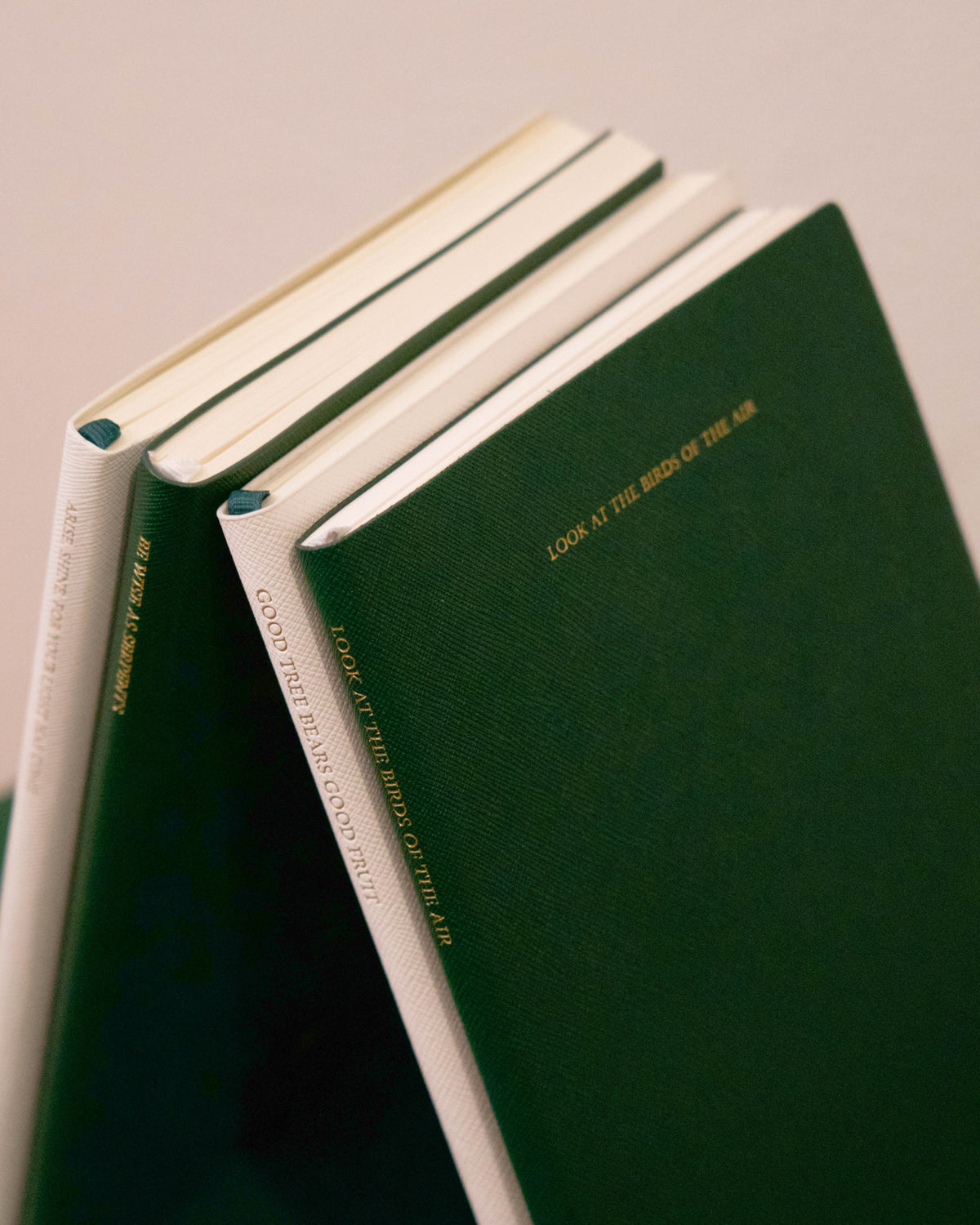 Look at the birds of the air, Basic Series Notebook