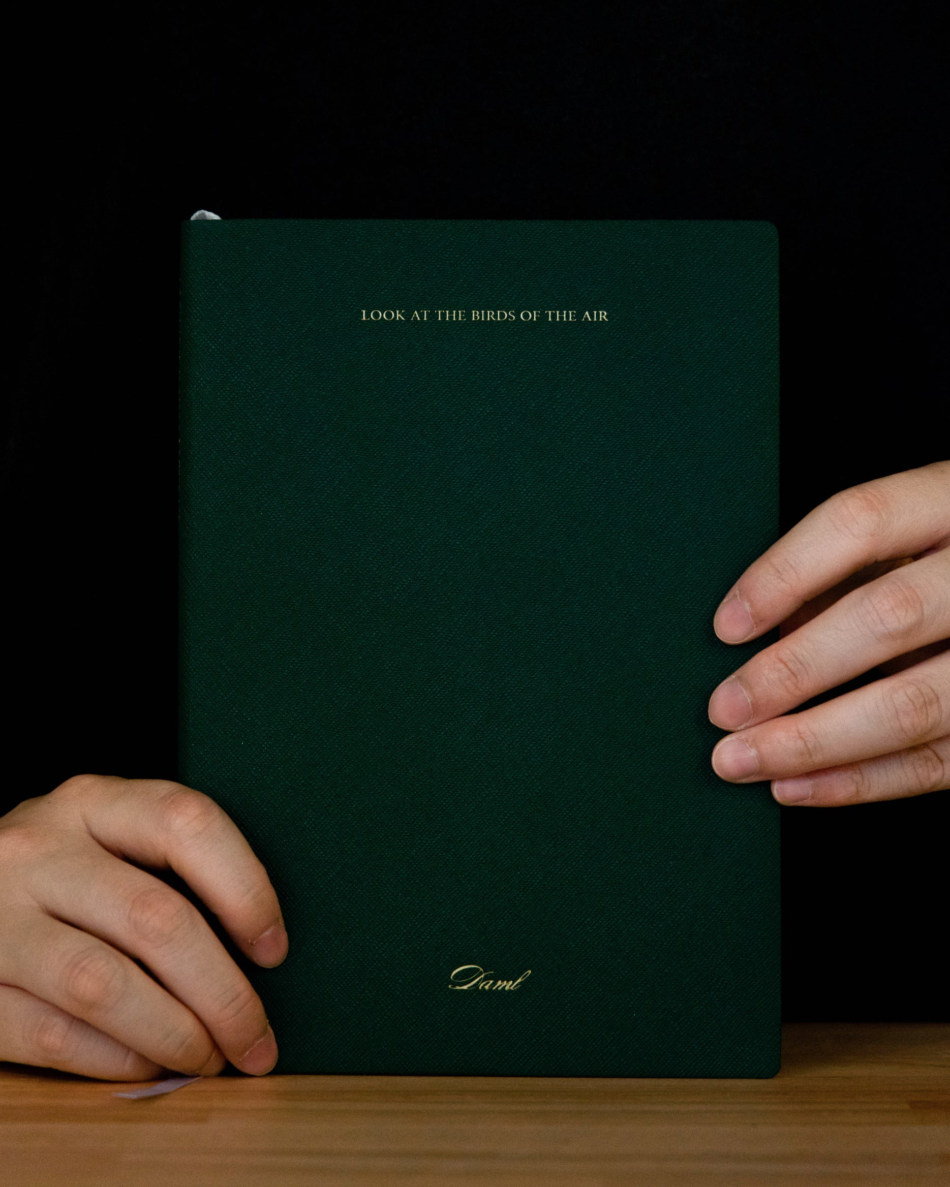 Look at the birds of the air, Basic Series Notebook